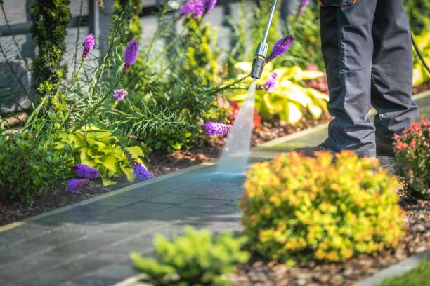 Best Dumpster Area Cleaning  in Alamo, TX