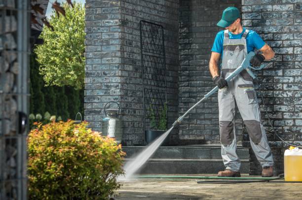 Best Pre-Holiday Cleaning  in Alamo, TX