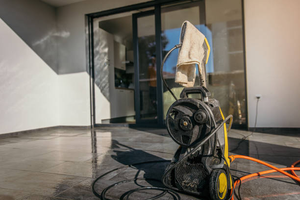 Best Driveway Pressure Washing  in Alamo, TX