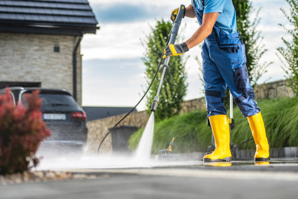 Best Building Exterior Washing  in Alamo, TX